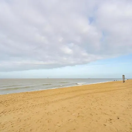 In Near The Appartement *