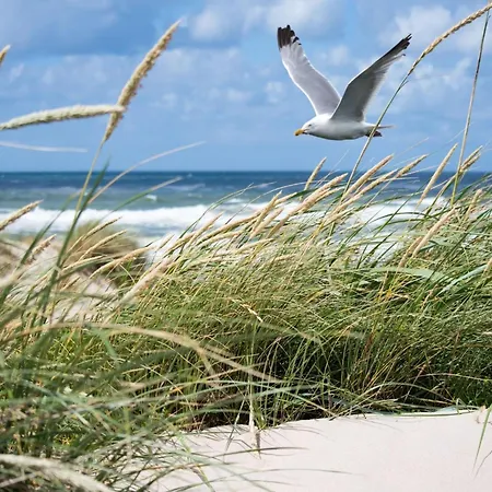 Appartement In Near The